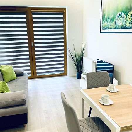 Modern Silver Apartment كراكوفيا المظهر الخارجي الصورة
