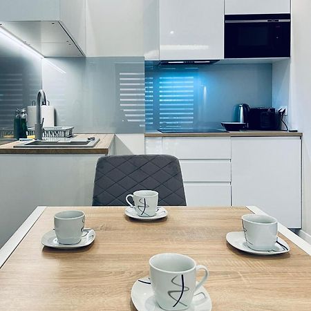 Modern Silver Apartment كراكوفيا المظهر الخارجي الصورة